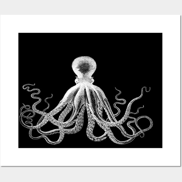 Octopus | Vintage Octopus | Tentacles | Sea Creatures | Nautical | Ocean | Sea | Beach | Black and White | Wall Art by Eclectic At Heart